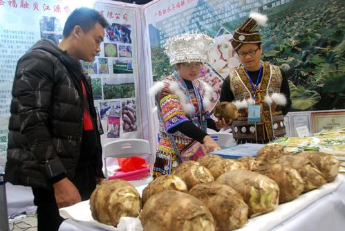 2018全国农产品产销对接行(广西)活动举行