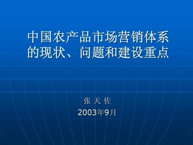 中国农产品市场营销体系的现状,问题和建设重点35604ppt