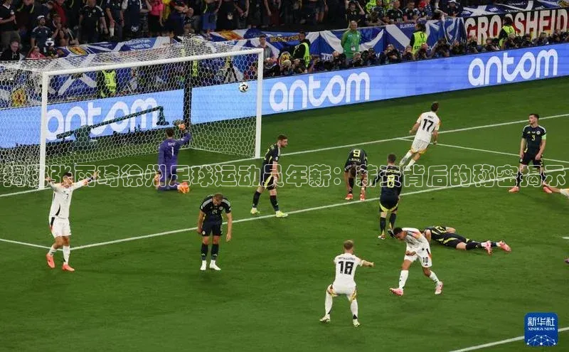 333体育手机版宇信科技揭秘张雨琦徐州足球运动员年薪：薪资背后的秘密揭示