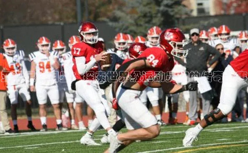 333体育手机版百度信誉亚洲足球明星：探索世界级运动员们的传奇故事