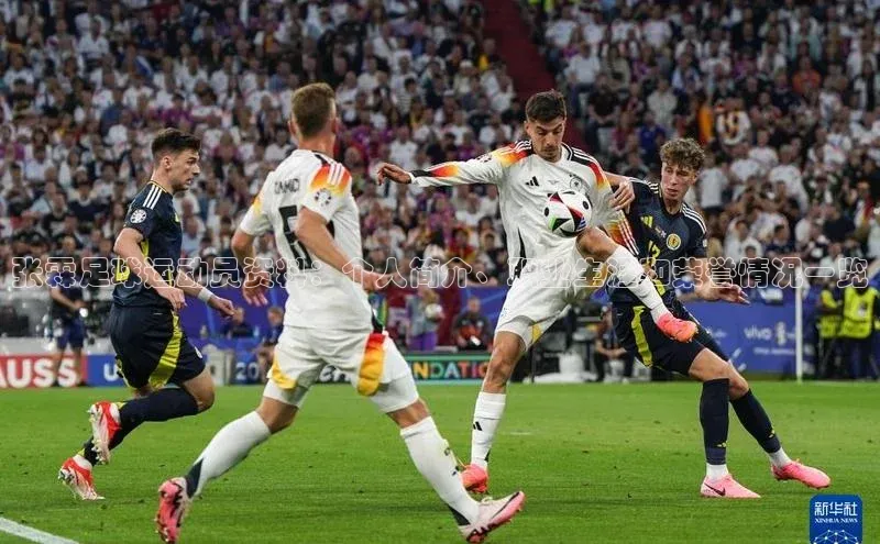 333体育百度数据开放平台张霖足球运动员资料：个人简介、职业生涯和荣誉情况一览