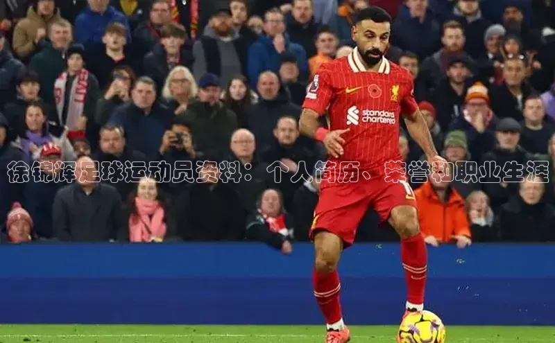 333体育平台App下载安卓手机下载字节跳动徐锦辉足球运动员资料：个人简历、荣誉和职业生涯