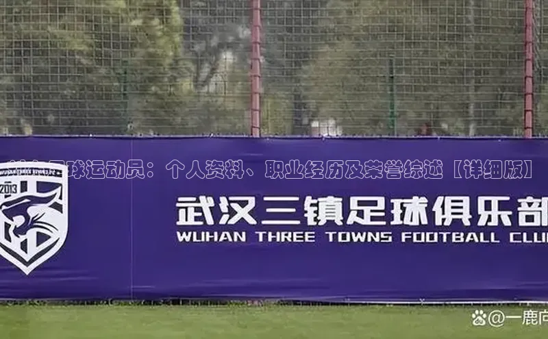 333体育手机版宇信科技刘东足球运动员：个人资料、职业经历及荣誉综述【详细版】