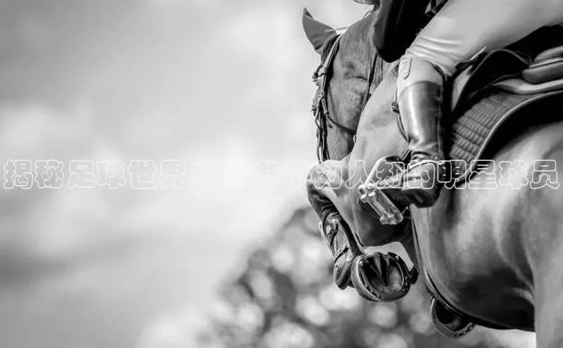 333体育赛事直播度小满理财揭秘足球世界中那些不为人知的明星球员