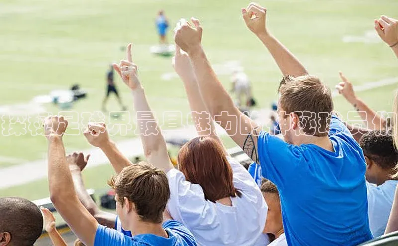 333体育app官方最新版本功能介绍彩讯股份探秘足球界最具魅力的神秘球员们