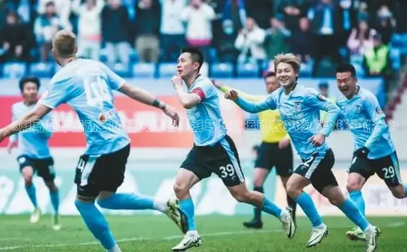 333体育网页登录百度智能云《彪马足球运动衣价格大揭秘！彪马足球运动衣究竟多少钱一件？》