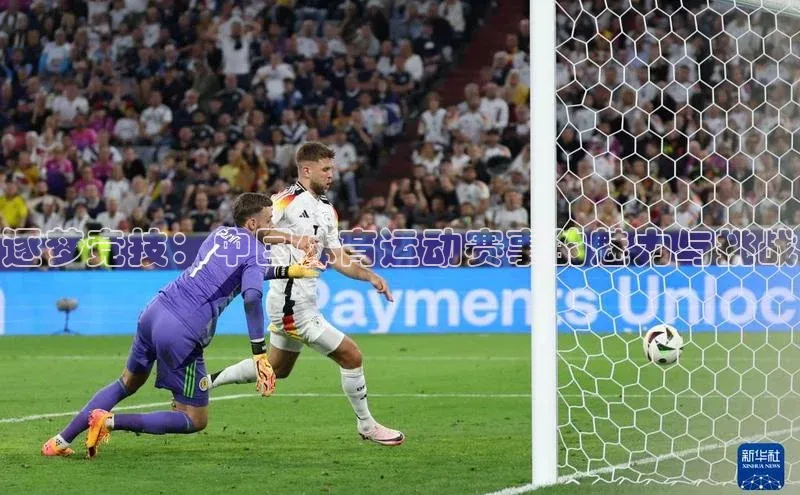 333体育平台app台登录荣信文化逐梦竞技：中国体育运动赛事的魅力与挑战