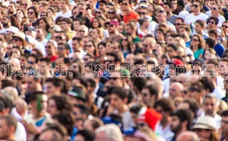 排球的魅力：从规则到精彩瞬间的深度