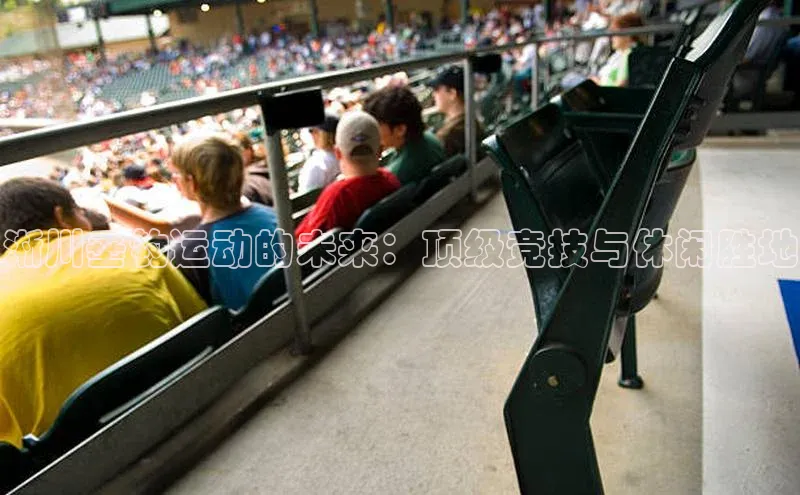 淅川垂钓运动的未来：顶级竞技与休闲胜地