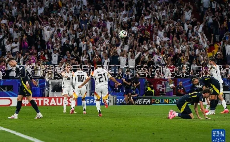 3377体育官方网站