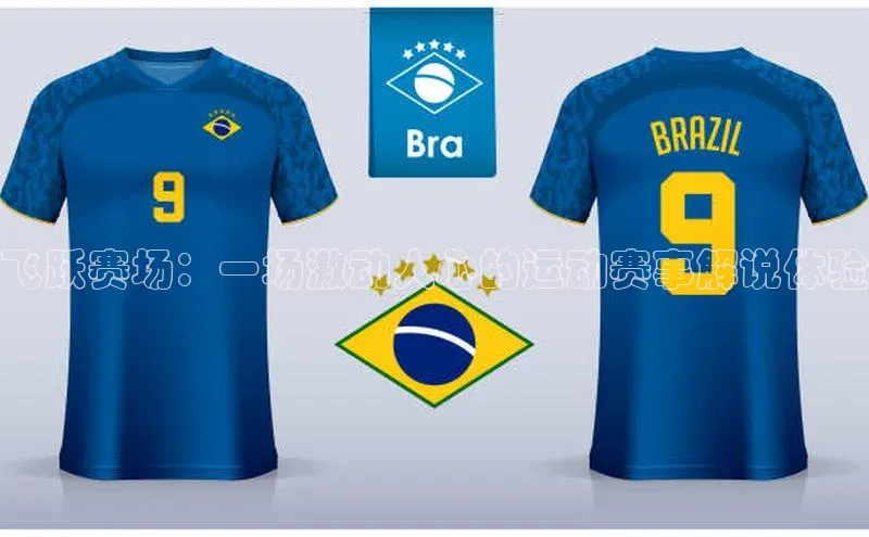 飞跃赛场：一场激动人心的运动赛事解说体验