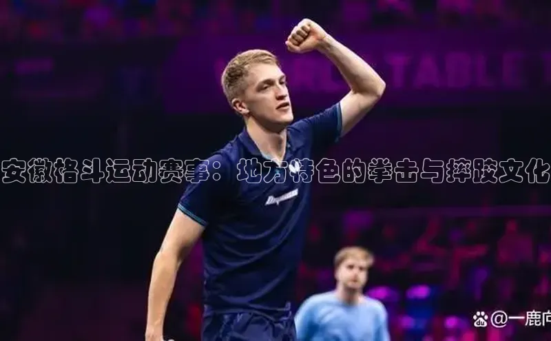 安徽格斗运动赛事：地方特色的拳击与摔跤文化