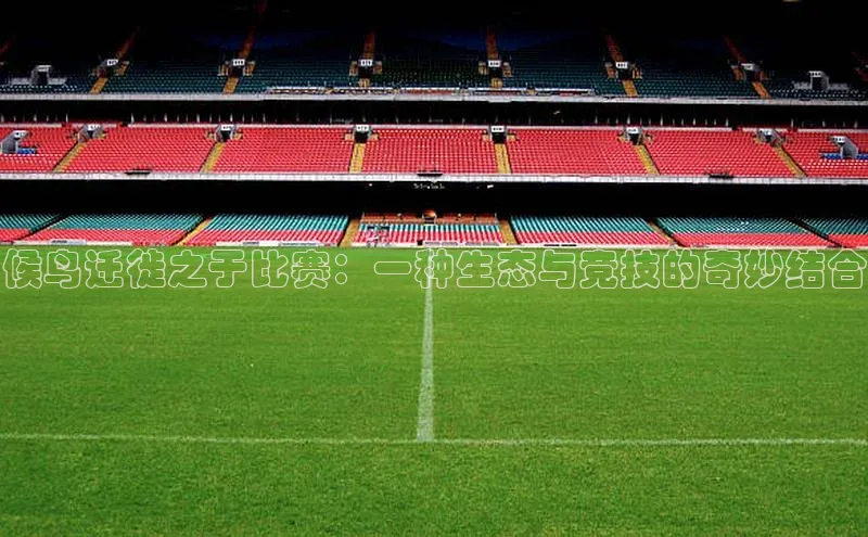 候鸟迁徙之于比赛：一种生态与竞技的奇妙结合