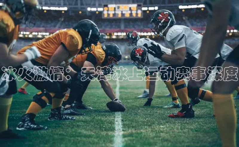 冰火激情：天津冰上运动赛事深度