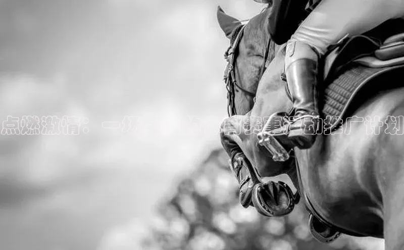 点燃激情：一场全面的体育赛事运动推广计划