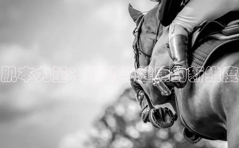 肌本力量：运动与健康的新维度