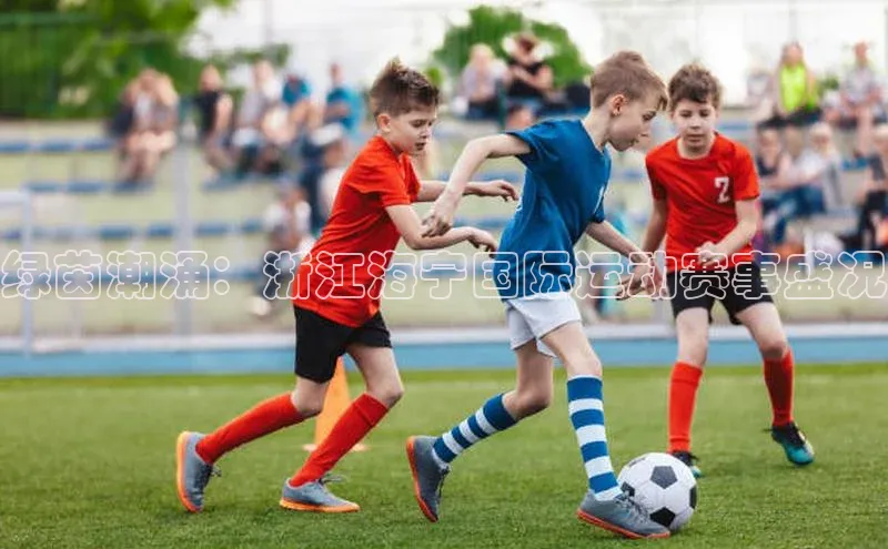 绿茵潮涌：浙江海宁国际运动赛事盛况