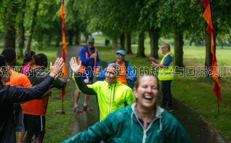 驾驭的艺术：探讨马术运动的种类与国际赛事