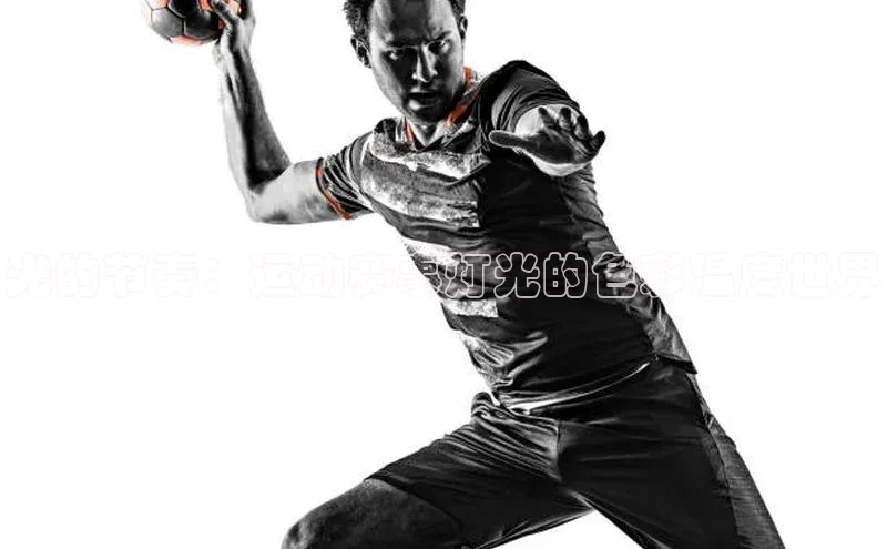 3377体育官方网站