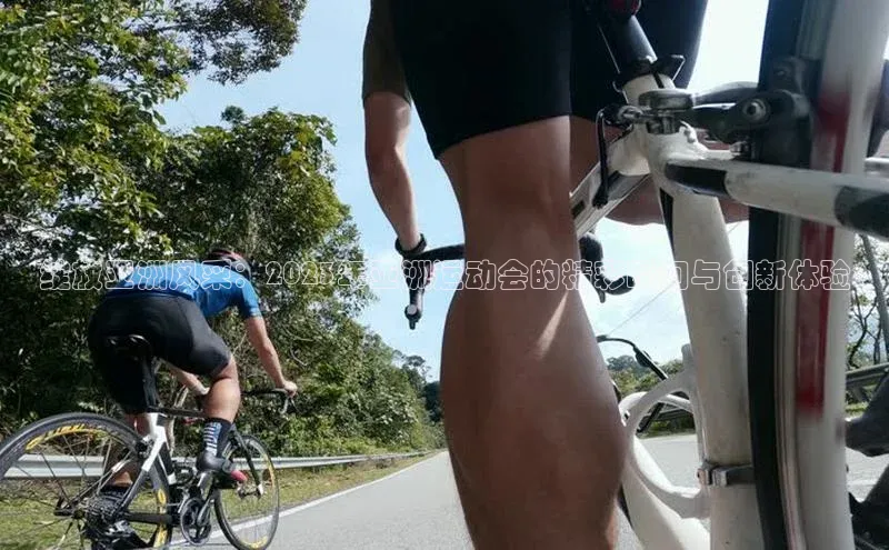 333体育官网登录入口