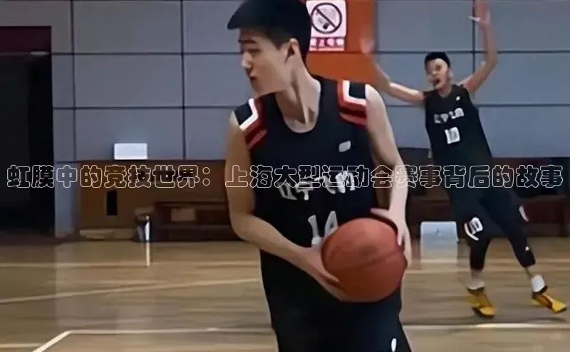 333体育官网下载