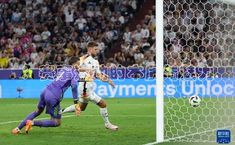 ：赛事运动的本质与魅力