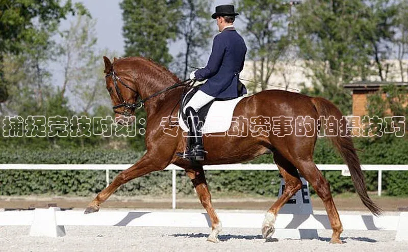 捕捉竞技时刻：专业运动赛事的拍摄技巧