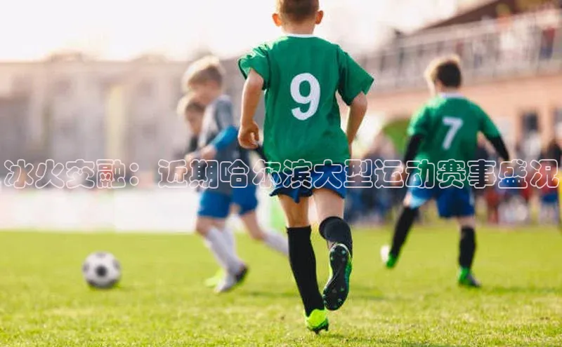 冰火交融：近期哈尔滨大型运动赛事盛况