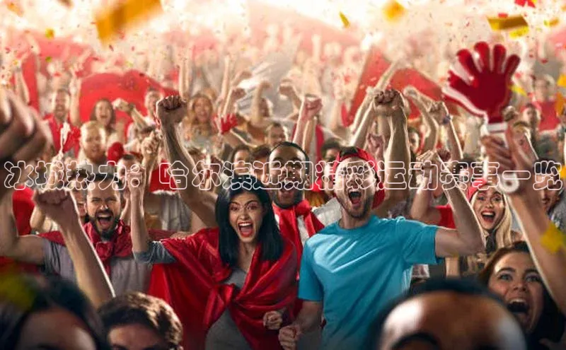 冰城热力：哈尔滨近期精彩运动赛事一览